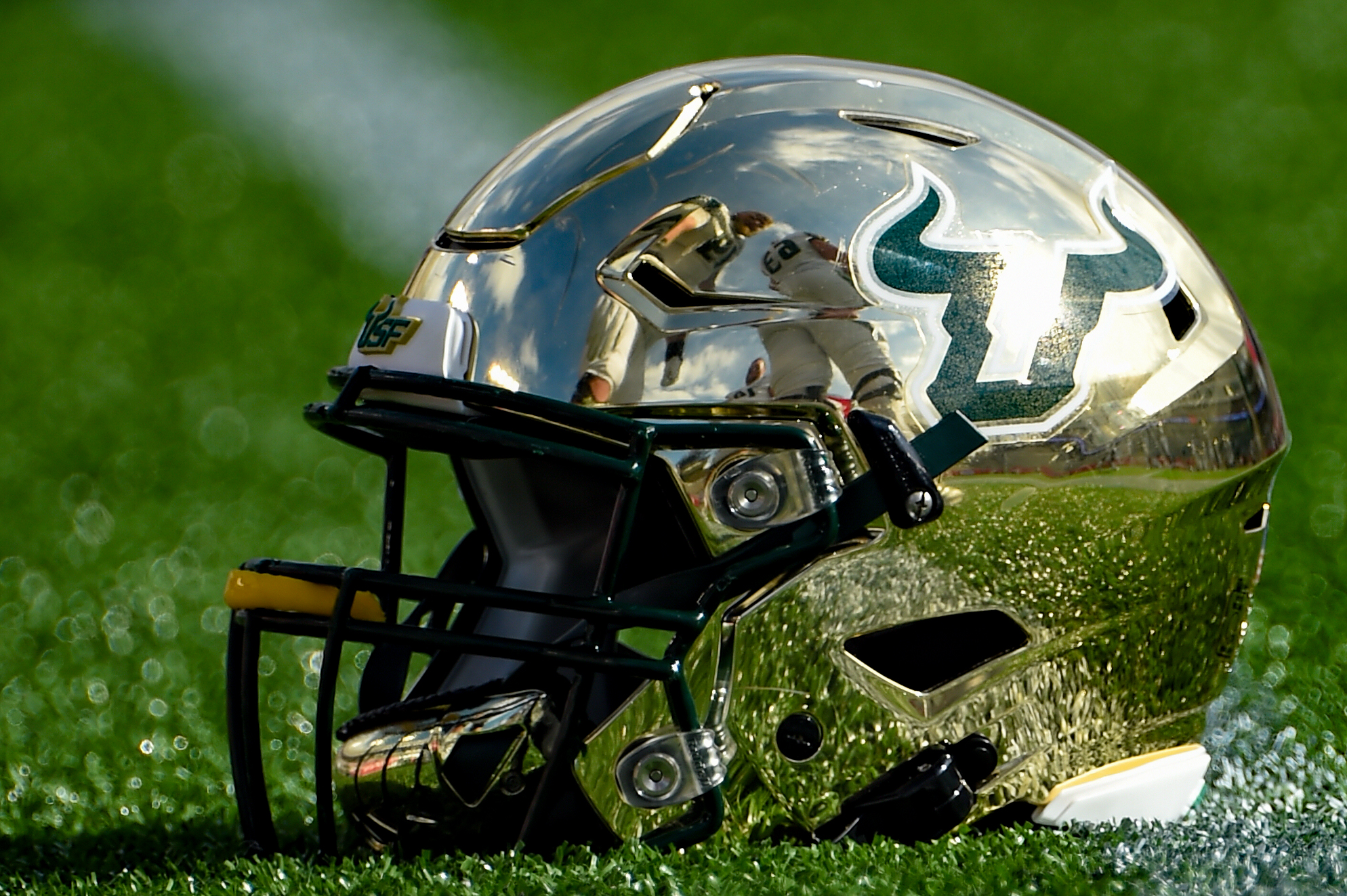 COLLEGE FOOTBALL: NOV 14 USF at Houston